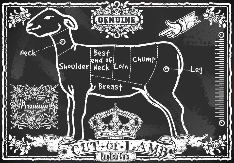 Lamb_Info_Diagram