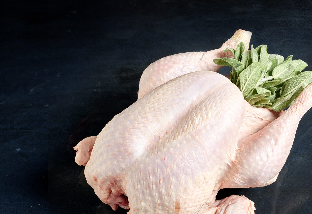 corn fed chicken
